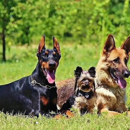 Casa vacanze Wattwurm-willi-i *